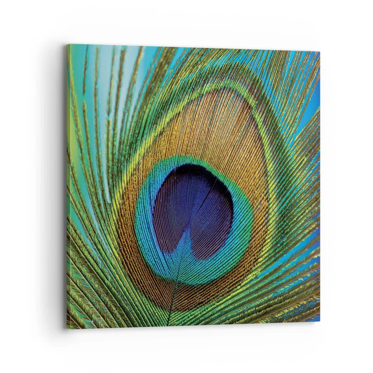 Quadro em tela - Olho no olho - 70x70 cm