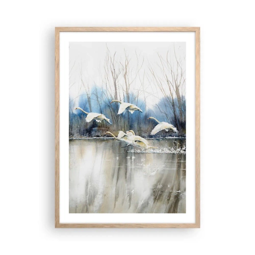 Pôster com moldura de carvalho claro - Como no conto de fadas sobre cisnes selvagens - 50x70 cm