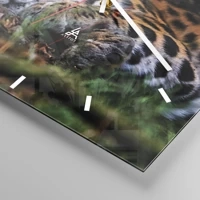 Mostrador com traços