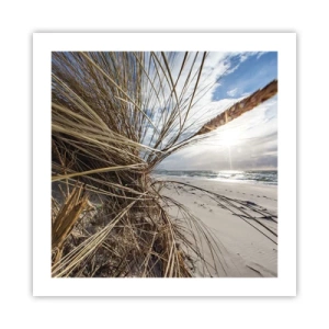 Pôster - Reunião dos rlementos da natureza - 50x50 cm