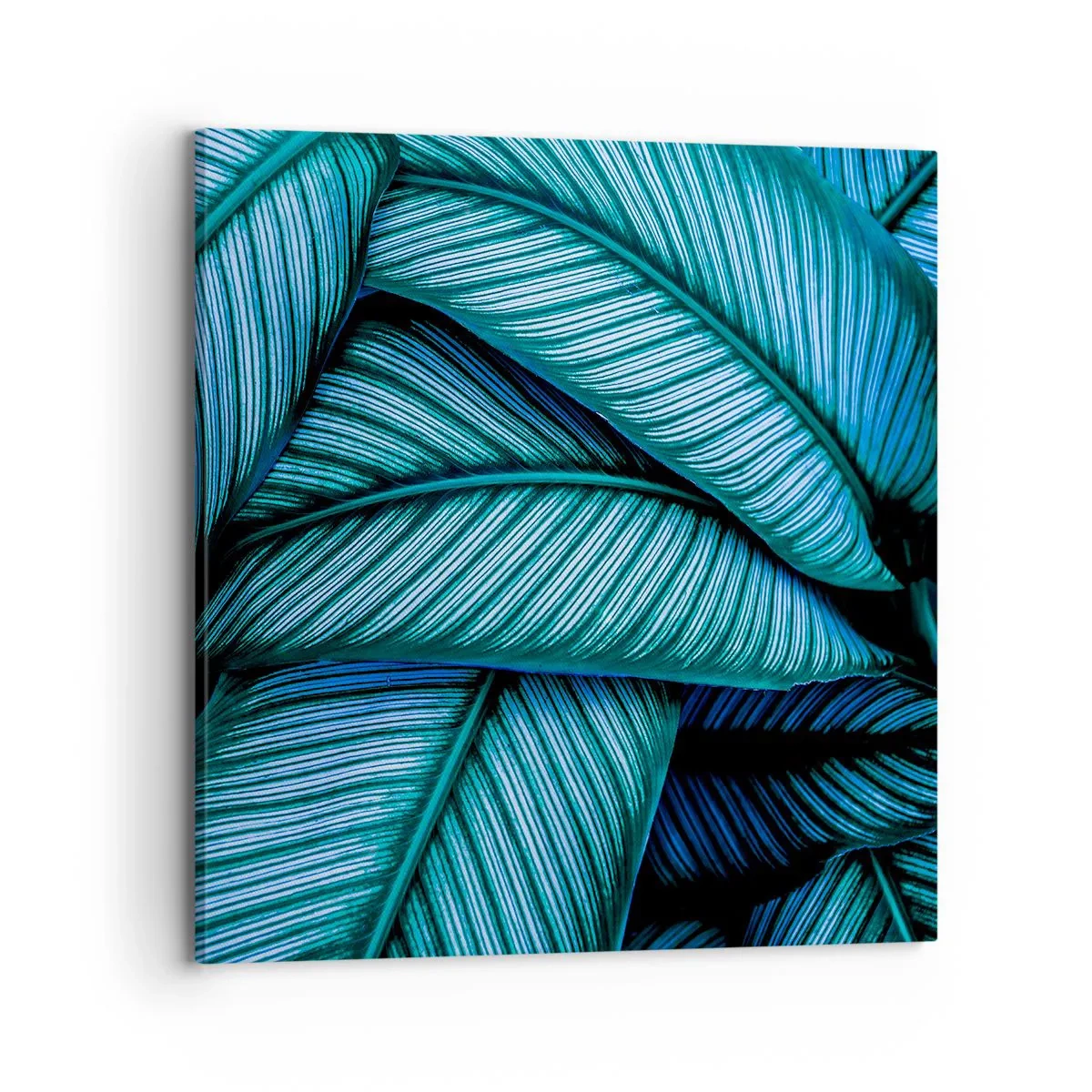 Quadro em tela - Linhas de vida - 70x70 cm