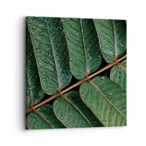 Quadro em tela - Num ritmo verde - 30x30 cm