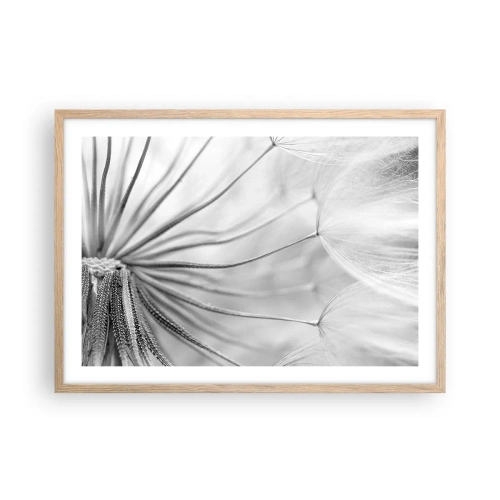 Pôster com moldura de carvalho claro - Dentes de leão, pipas - 70x50 cm