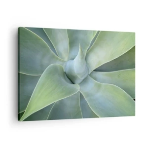 Quadro em tela - Folhas sutis de agave em tons de verde - 70x50cm - O nascimento da vegetação - Decoração de parede moderna para a sala de estar e quarto ARTTOR