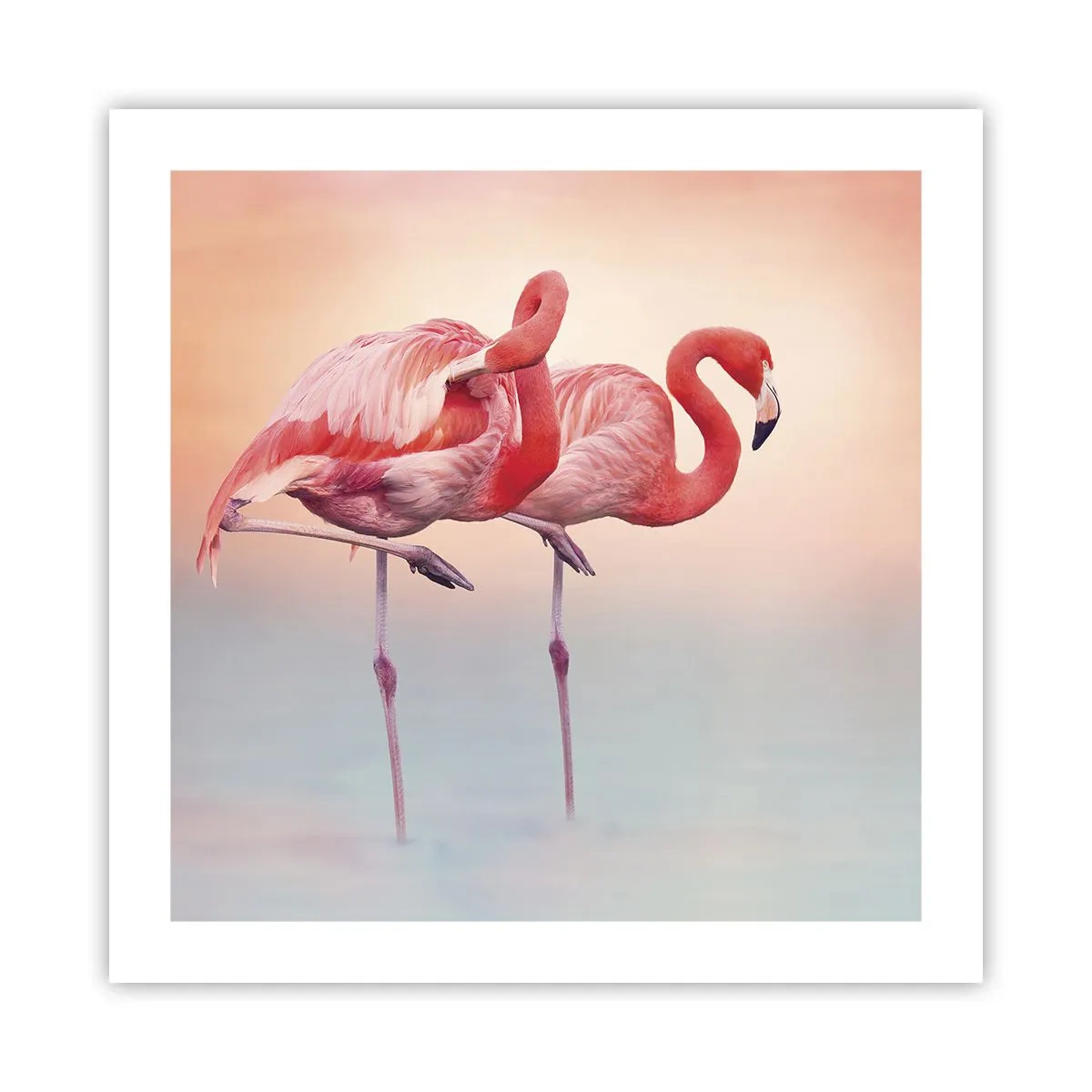 Pôster - Na cor do sol poente - 50x50 cm