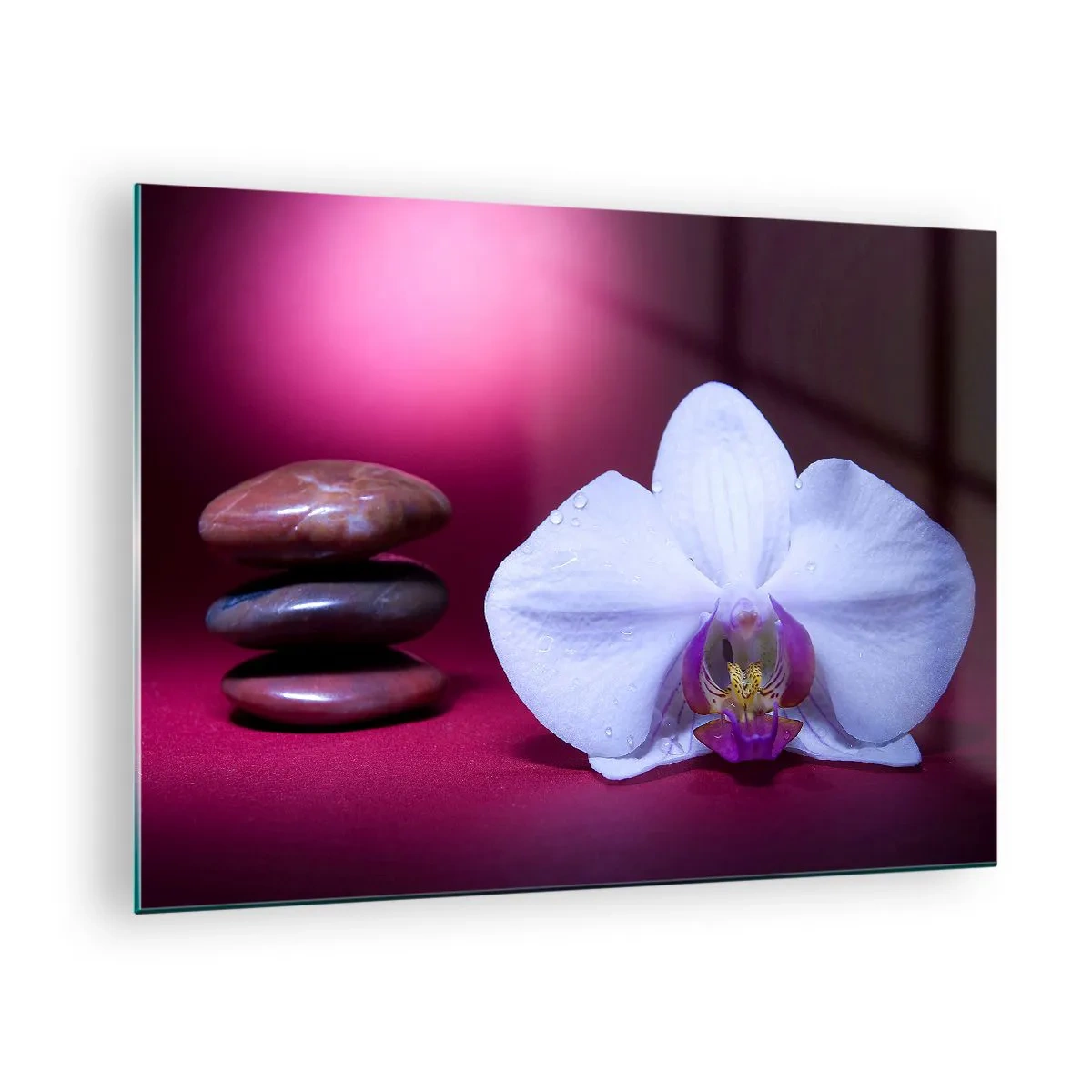 Quadro em vidro - Orquídea branca e pedras contra um fundo de luz roxa - 70x50cm - O estudo do frescor em roxo - Decoração de parede moderna para a sala de estar e quarto ARTTOR