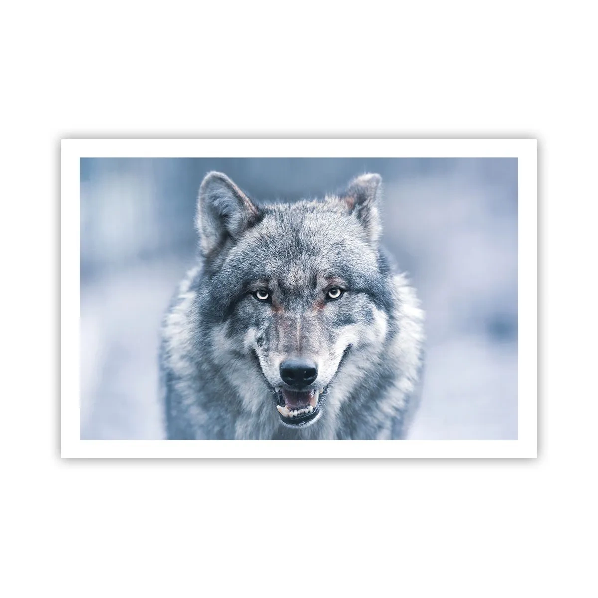 Pôster - Vai aceitar o desafio? - 91x61 cm