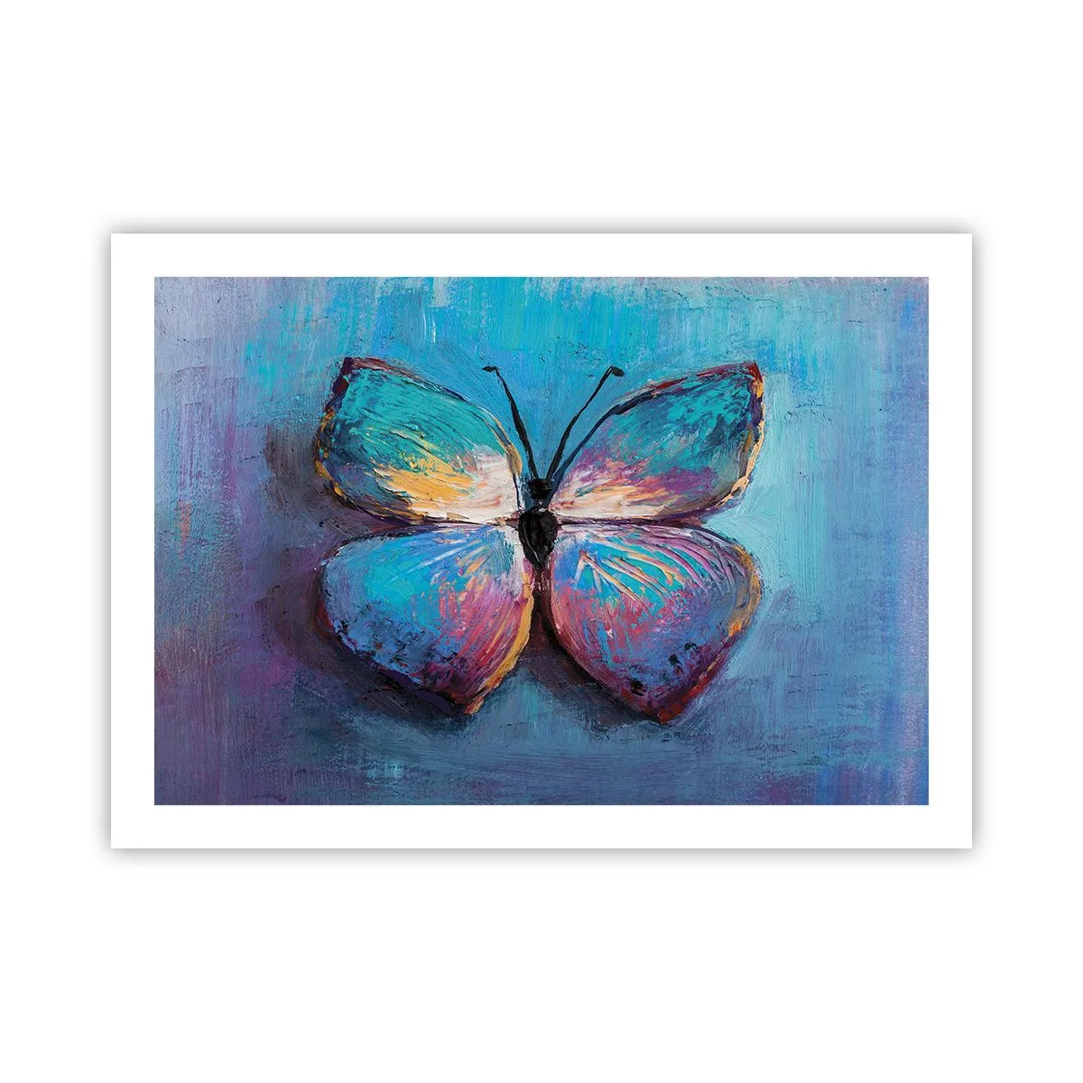 Pôster - Em toda a sua glória - 70x50 cm