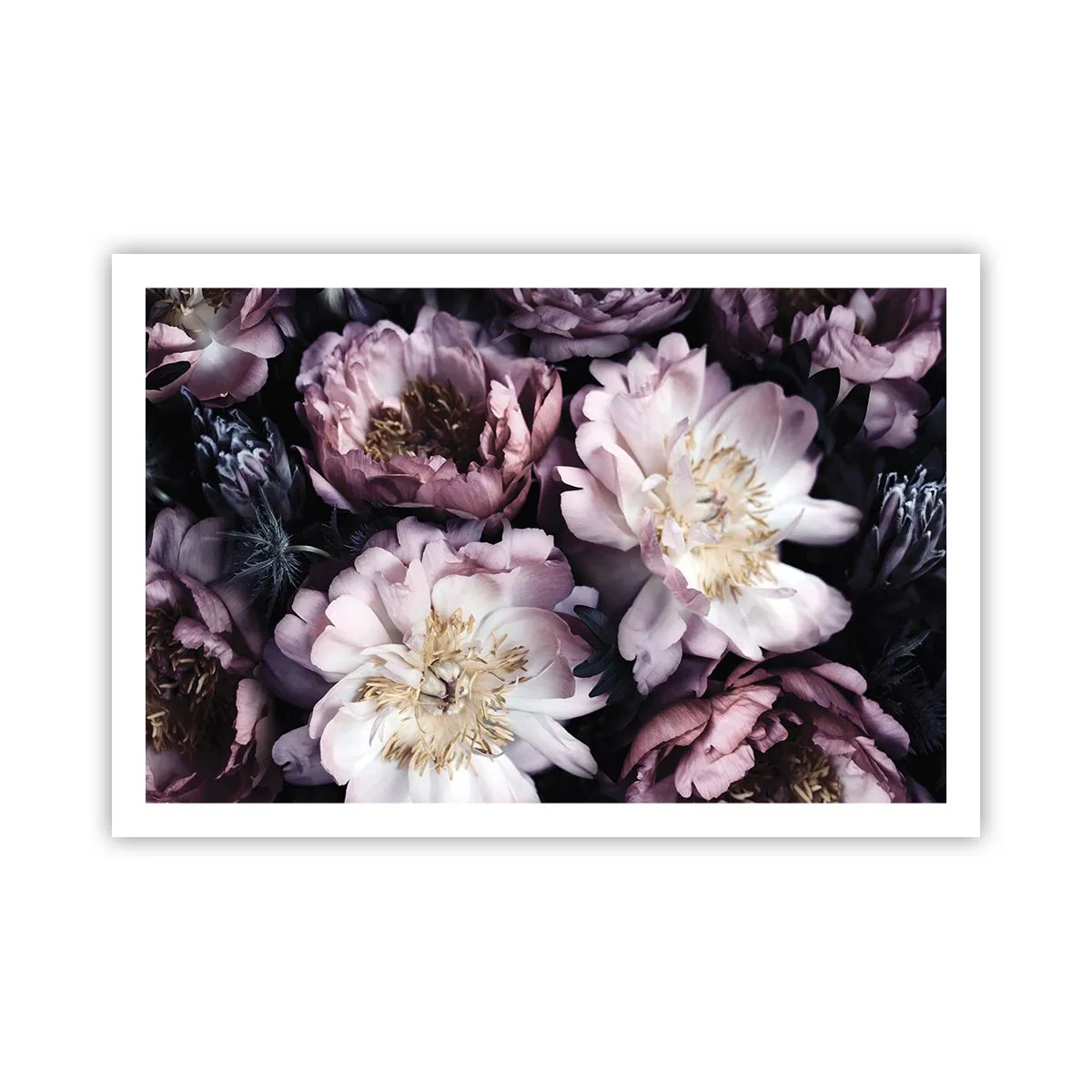 Pôster - Bouquet à moda antiga - 91x61 cm