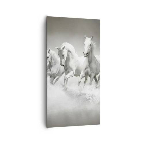 Quadro em tela - Loucura branca - 65x120 cm