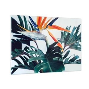 Quadro em vidro - Planta exótica com flor ave do paraíso - 70x50cm - Arbusto de passarinho - Decoração de parede moderna para a sala de estar e quarto ARTTOR
