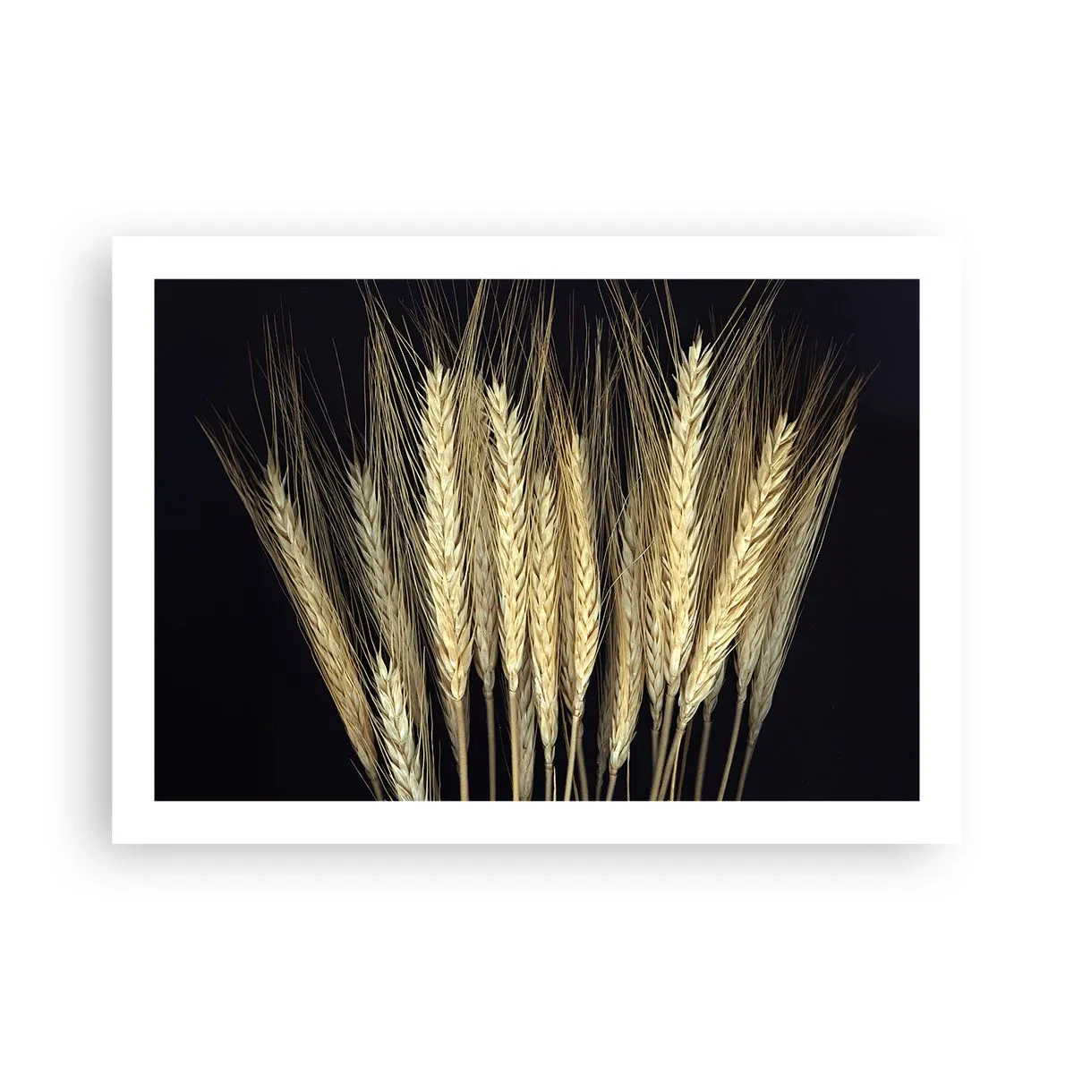 Pôster - Magia rústica - 70x50 cm