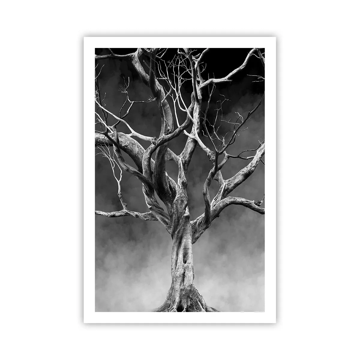 Pôster - Primitivo e sagrado - 61x91 cm