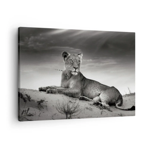 Quadro em tela - Retrato em preto e branco de uma leoa na savana - 70x50cm - Descanso da Rainha do Deserto - Decoração de parede moderna para a sala de estar e quarto ARTTOR