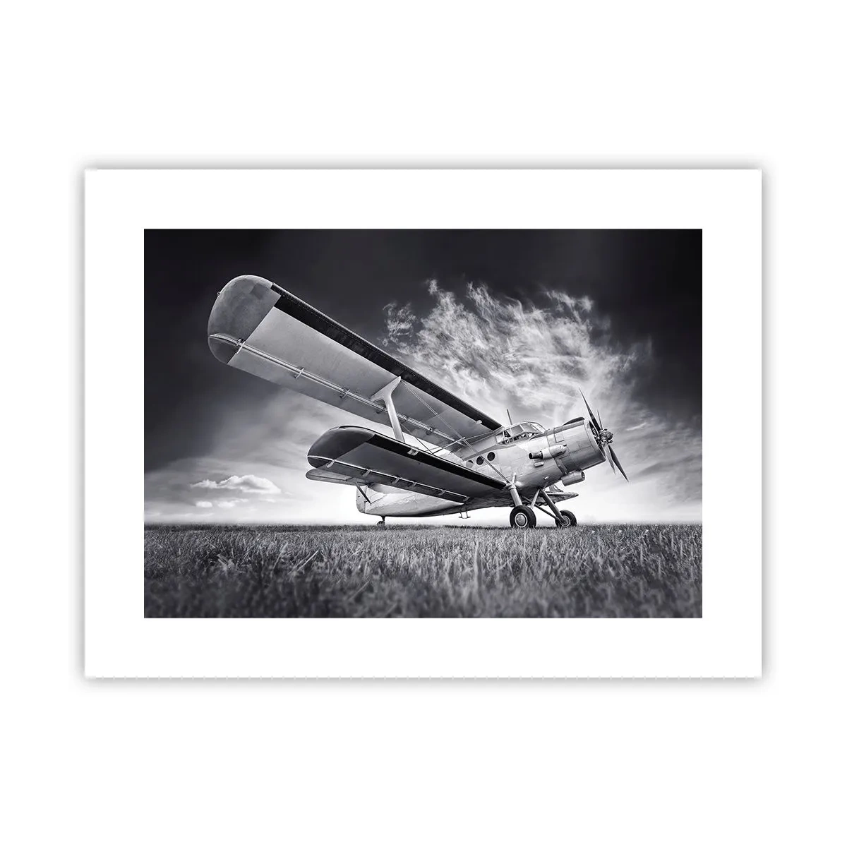 Pôster - Andarilho alado - 40x30 cm