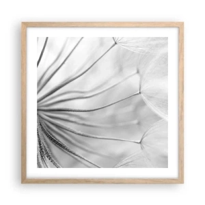 Pôster com moldura de carvalho claro - Dentes de leão, pipas - 50x50 cm