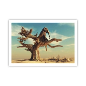 Pôster - Um novo ponto de vista - 91x61 cm