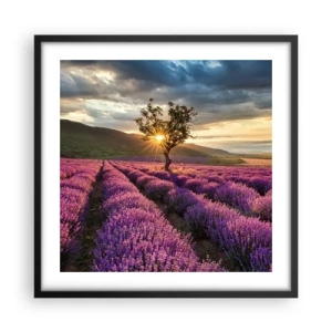 Pôster com moldura preta - Aroma lilás - 50x50 cm