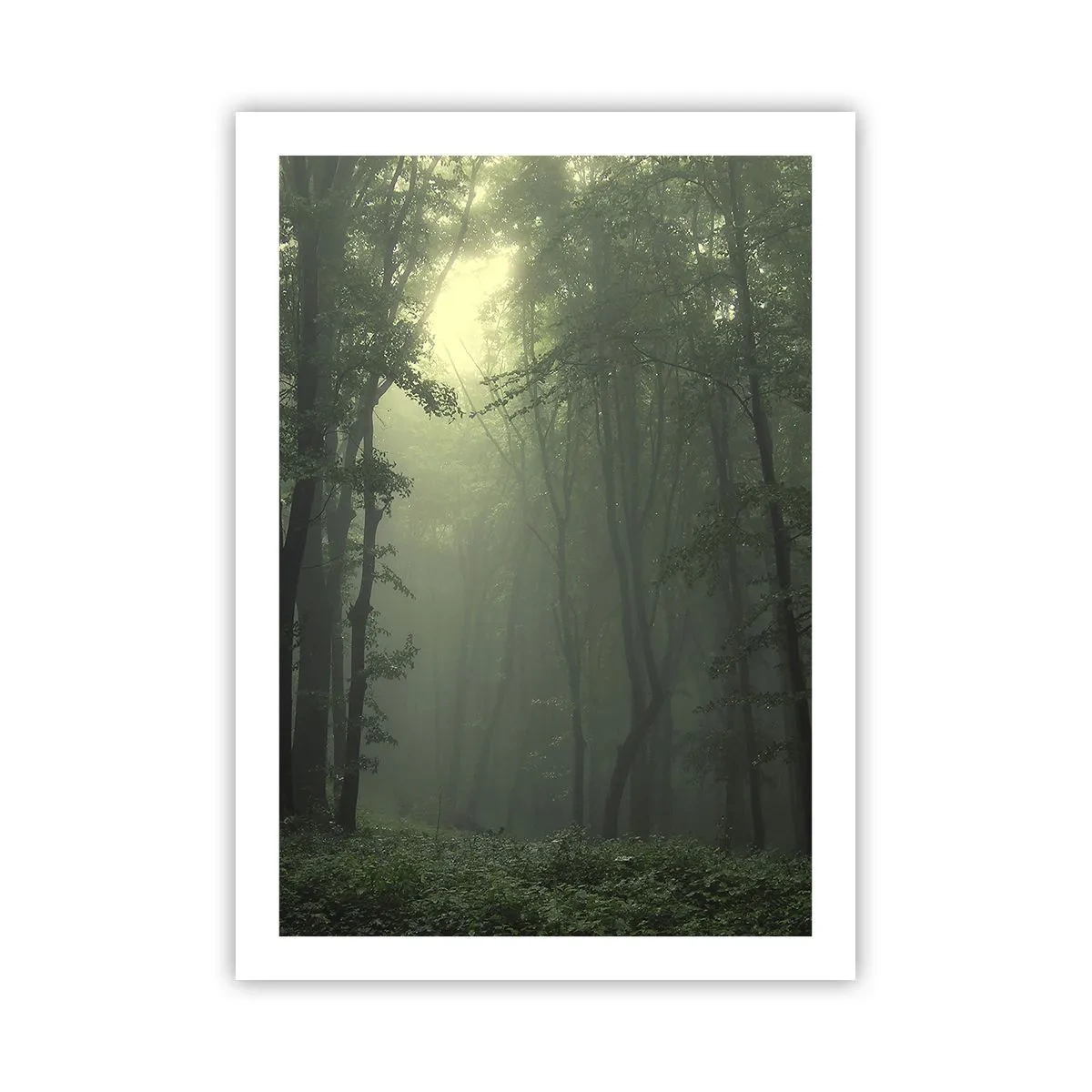 Pôster - Antes de acordar - 50x70 cm