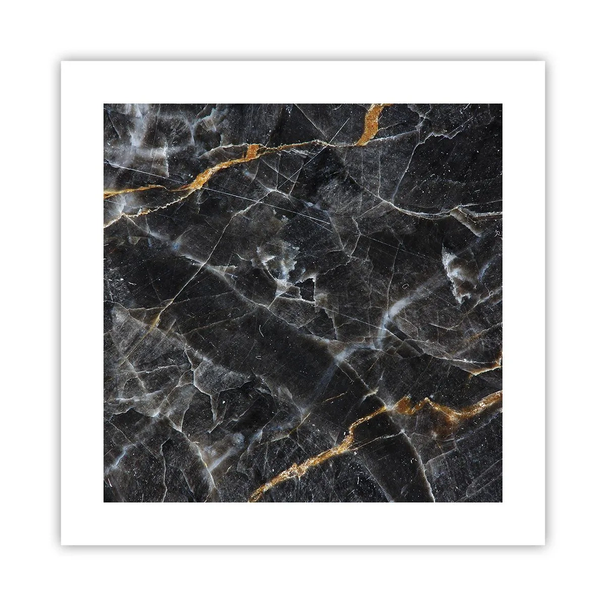 Pôster - A vida interior da pedra - 40x40 cm