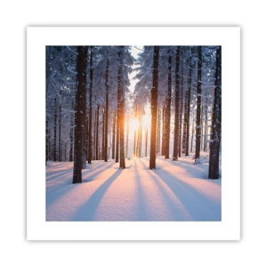 Pôster - Preto no branco - 40x40 cm