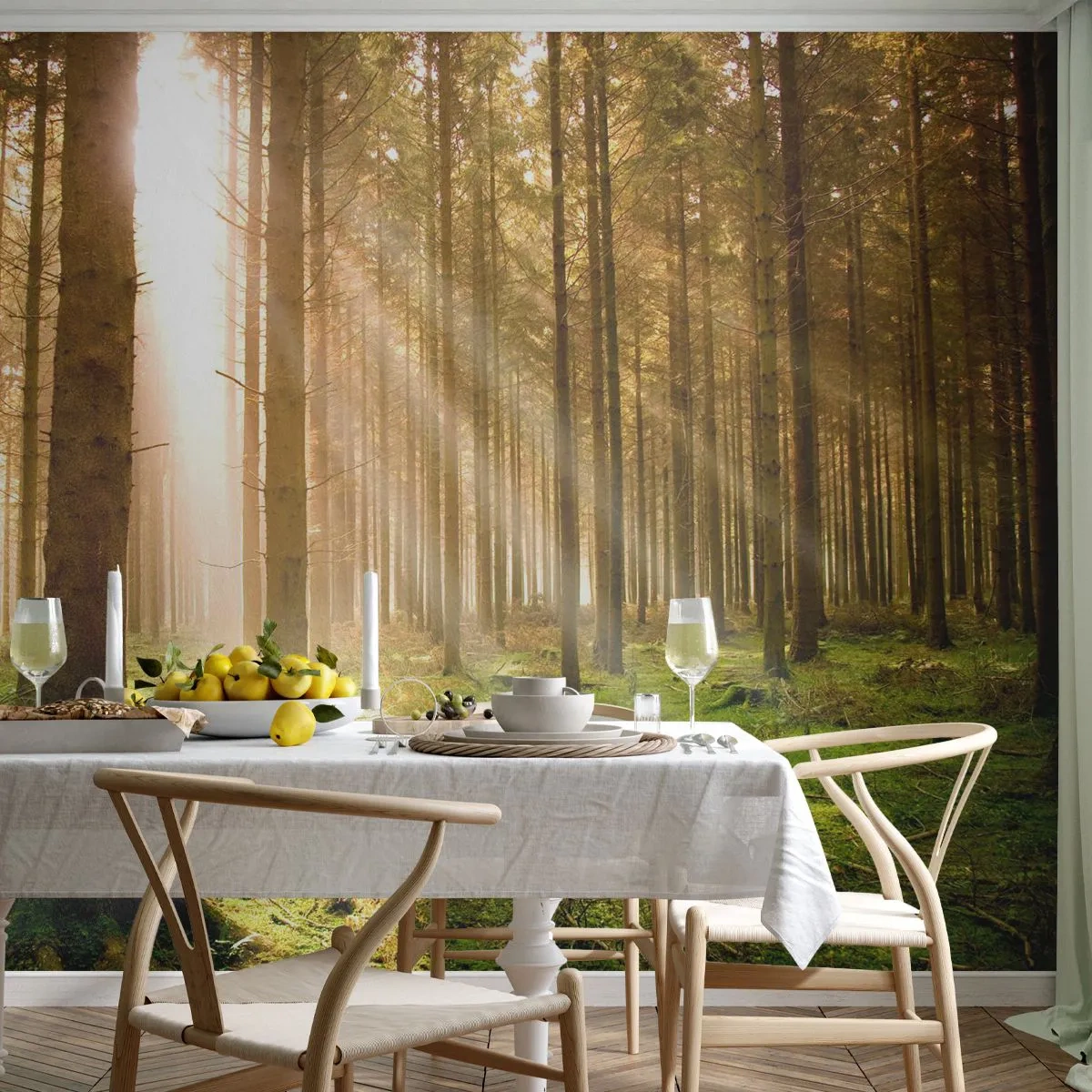Papel de Parede Autocolante Deluxe Sticker - Os elfos estão prestes a aparecer - Floresta, Raios de sol, Natureza - 250x175 cm