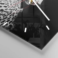 Mostrador com traços