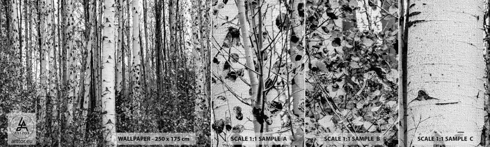 Amostra de papel de parede Premium Canvas - Colunata de bétula - Floresta, bétula, Natureza - 100x30 cm