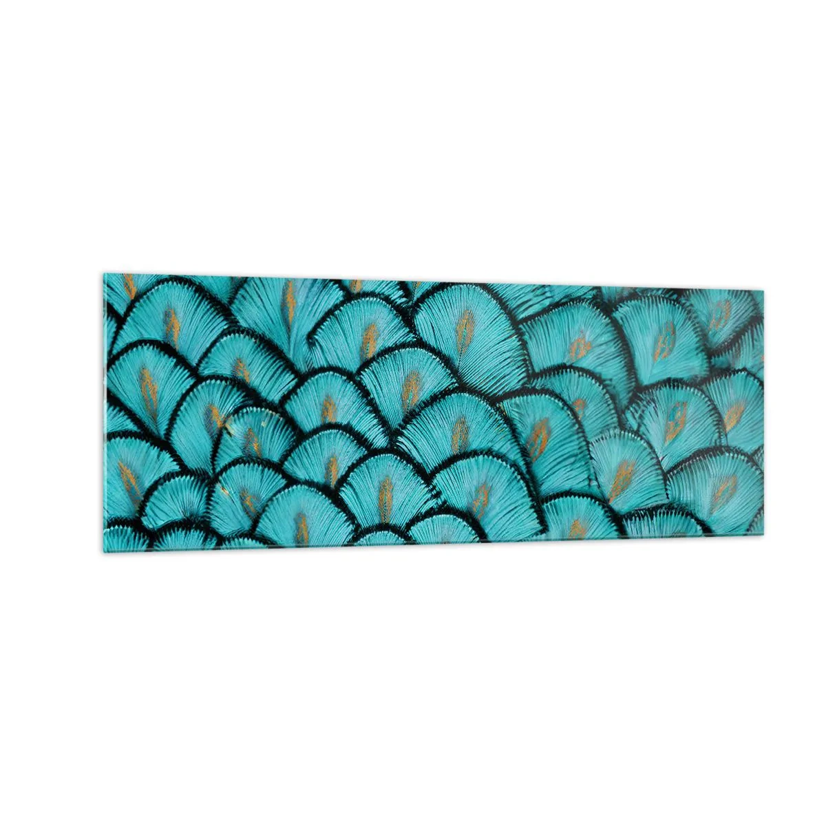 Quadro em vidro - A grande gala de penas - 140x50 cm