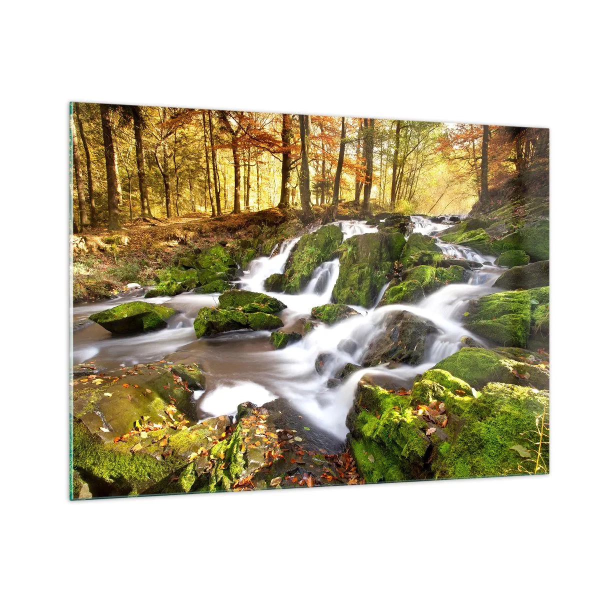 Quadro em vidro - Pela floresta de outono - 100x70 cm