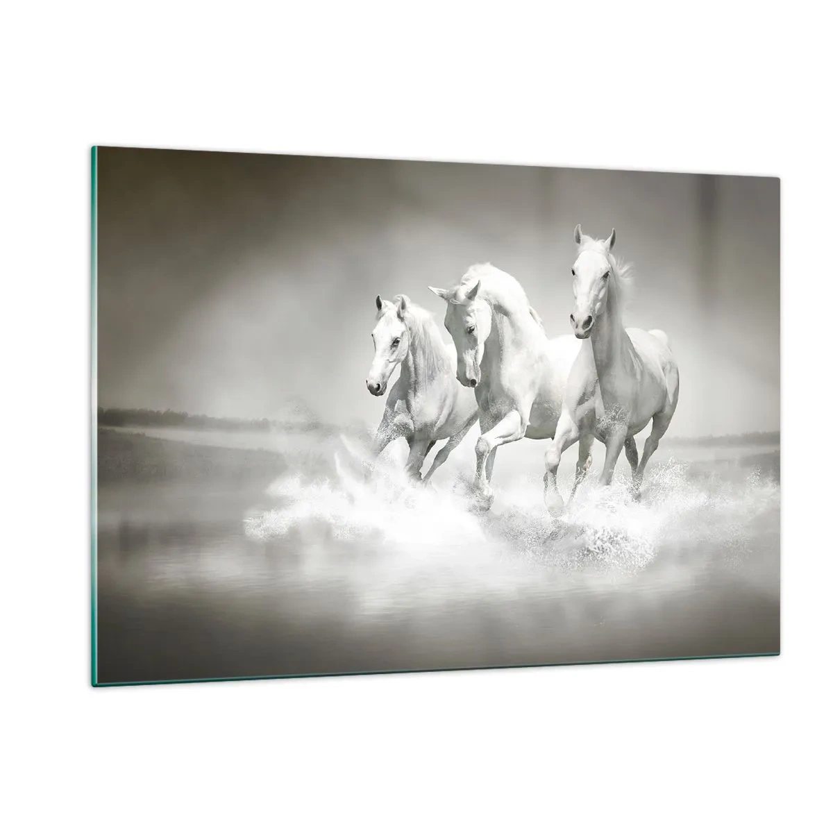 Quadro em vidro - Loucura branca - 120x80 cm