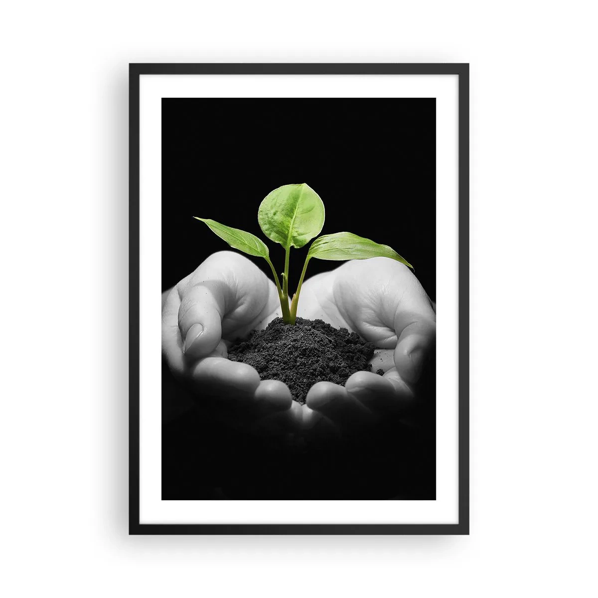 Pôster com moldura preta - Uma planta nas mãos simbolizando a vida e a natureza - 50x70cm - Eu amo a natureza, eu a protejo - Decoração de parede moderna para a sala de estar e quarto ARTTOR