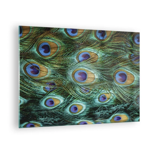 Quadro em vidro - Detalhe de penas de pavão com olhos distintos - 70x50cm - Um olhar de pavão - Decoração de parede moderna para a sala de estar e quarto ARTTOR