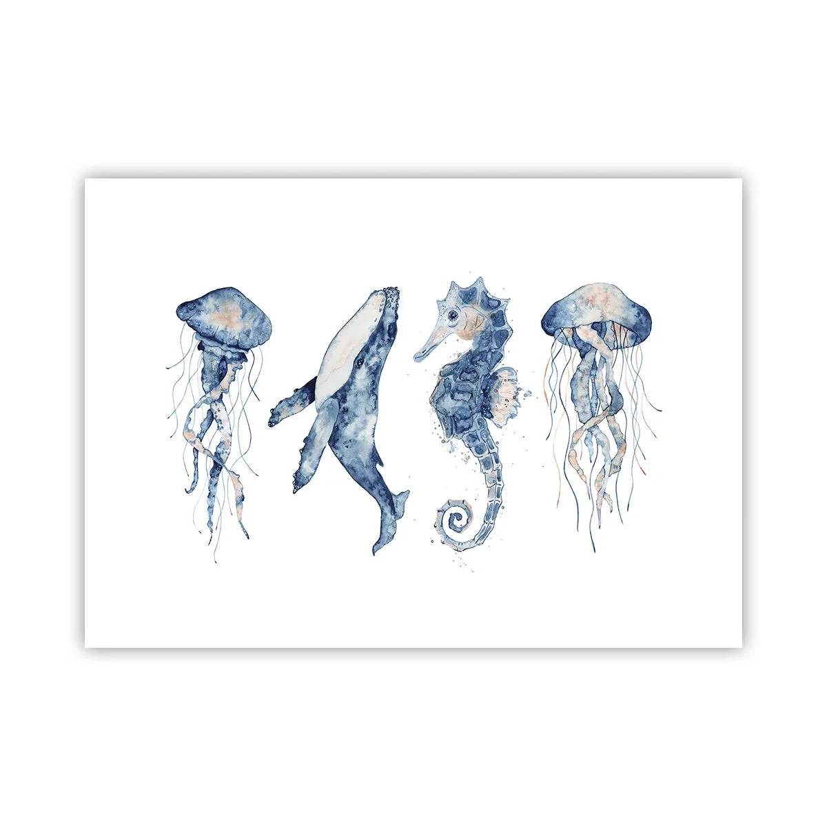 Pôster - Maravilhas do mar - 70x50 cm