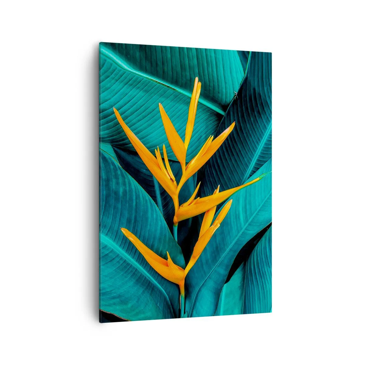 Quadro em tela - Flor do Éden - 70x100 cm