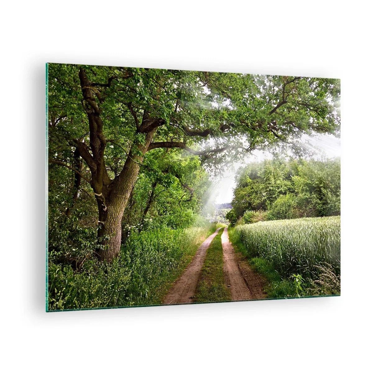 Quadro em vidro - Uma estrada florestal cercada por vegetação sob os raios do sol - 70x50cm - Os pastores de Arcadia - Decoração de parede moderna para a sala de estar e quarto ARTTOR