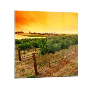 Quadro em vidro - Sede de sol - 30x30 cm