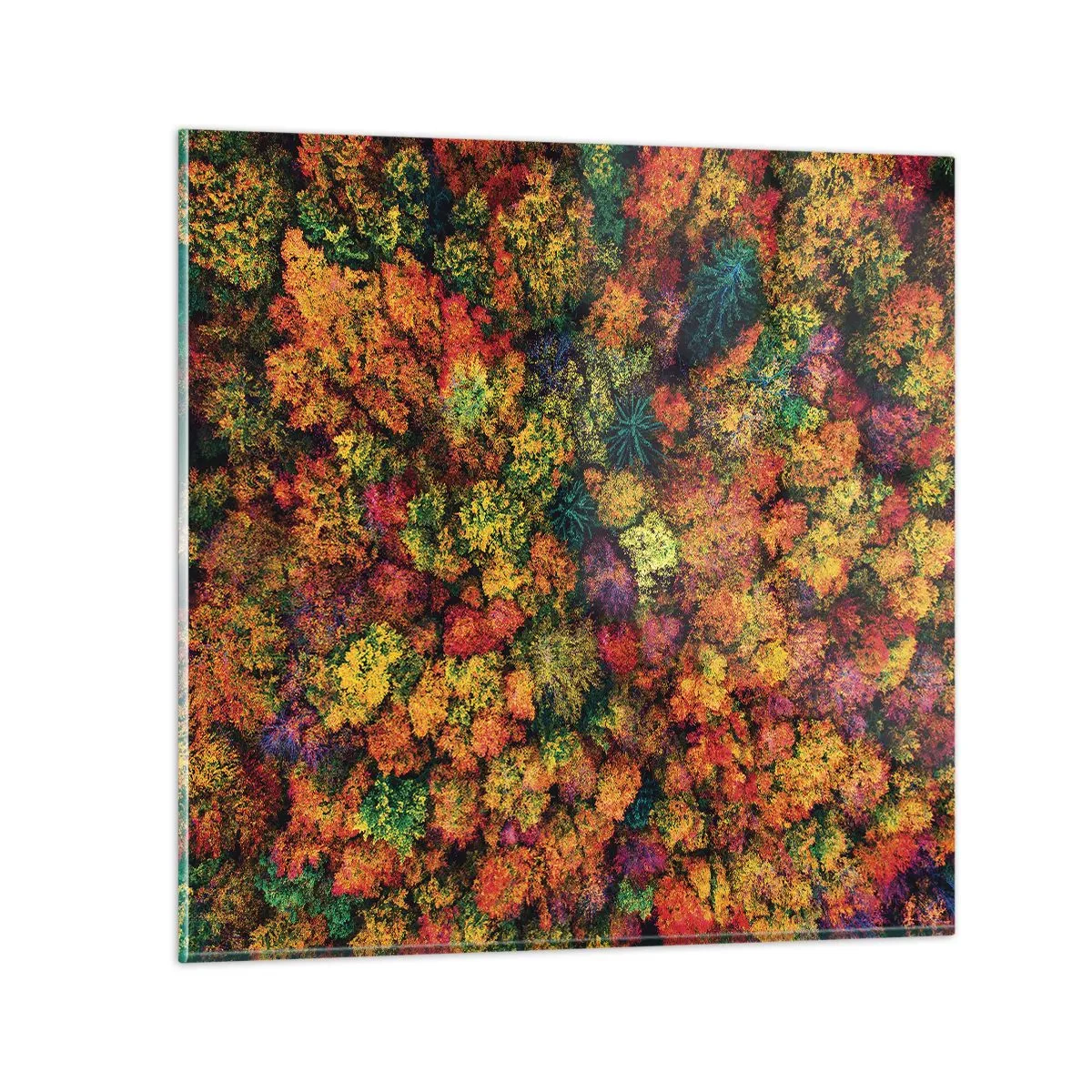 Quadro em vidro - Bouquet de árvores de Outono - 50x50 cm