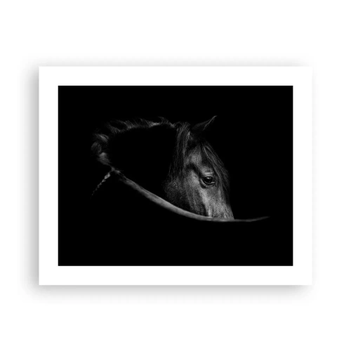 Pôster - Príncipe Negro - 50x40 cm
