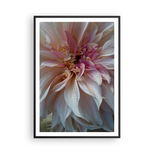 Pôster com moldura preta - Frescor florescente - 70x100 cm