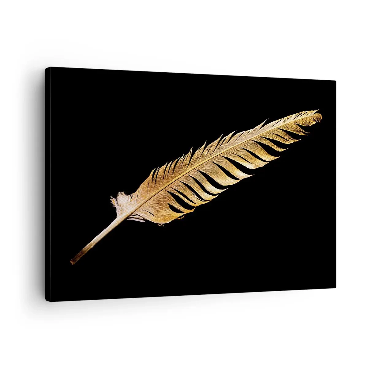 Quadro em tela - Pena dourada sobre fundo preto - 70x50cm - É uma pena - Decoração de parede moderna para a sala de estar e quarto ARTTOR