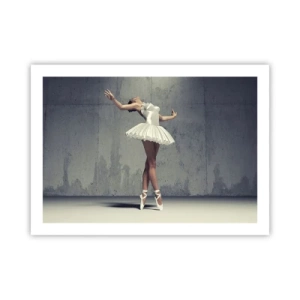 Pôster - Leve como um pássaro - 70x50 cm