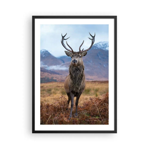 Pôster com moldura preta - Um cervo orgulhoso contra um cenário de montanha - 50x70cm - Na sua própria terra - Decoração de parede moderna para a sala de estar e quarto ARTTOR
