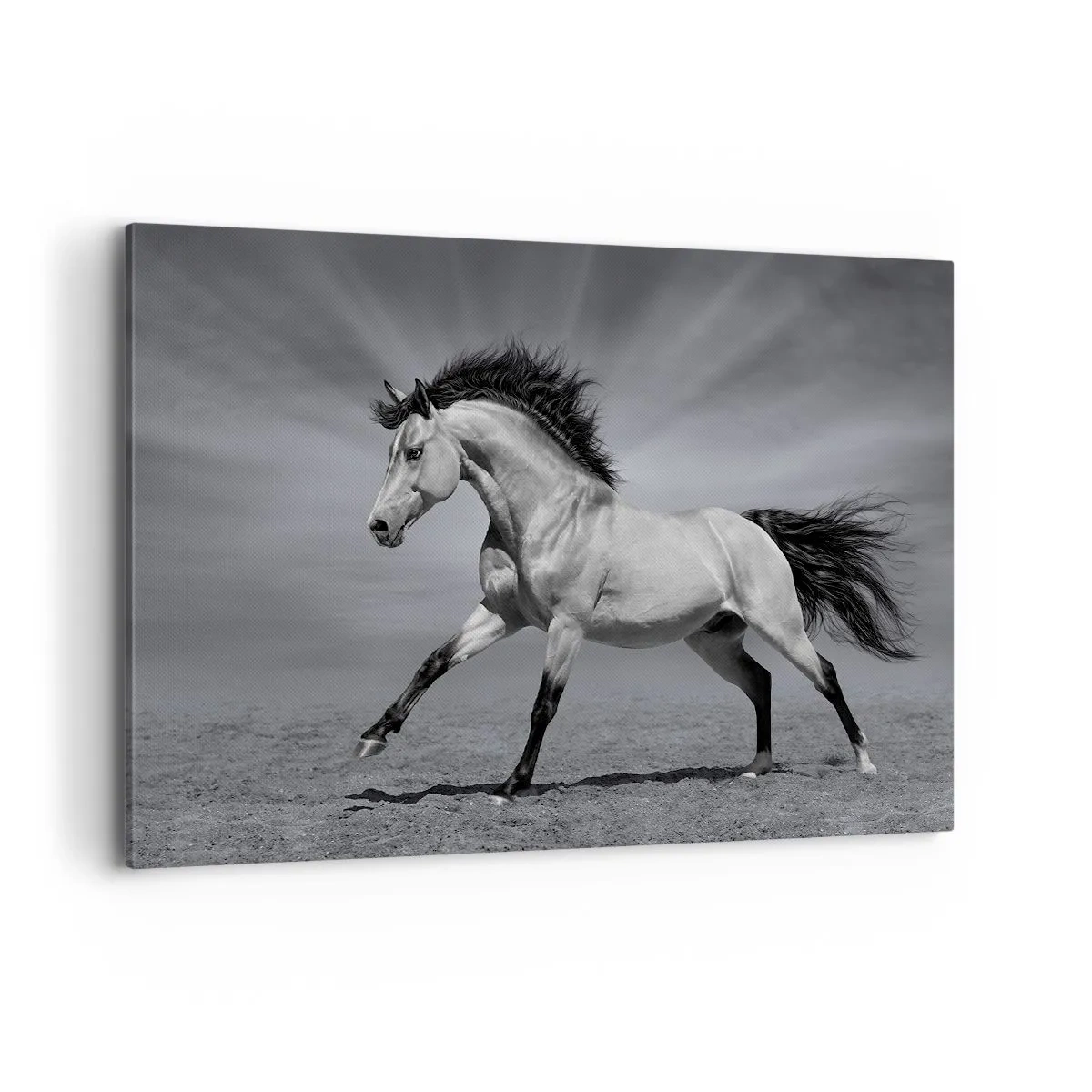 Quadro em tela - Nascido para encantar - 100x70 cm