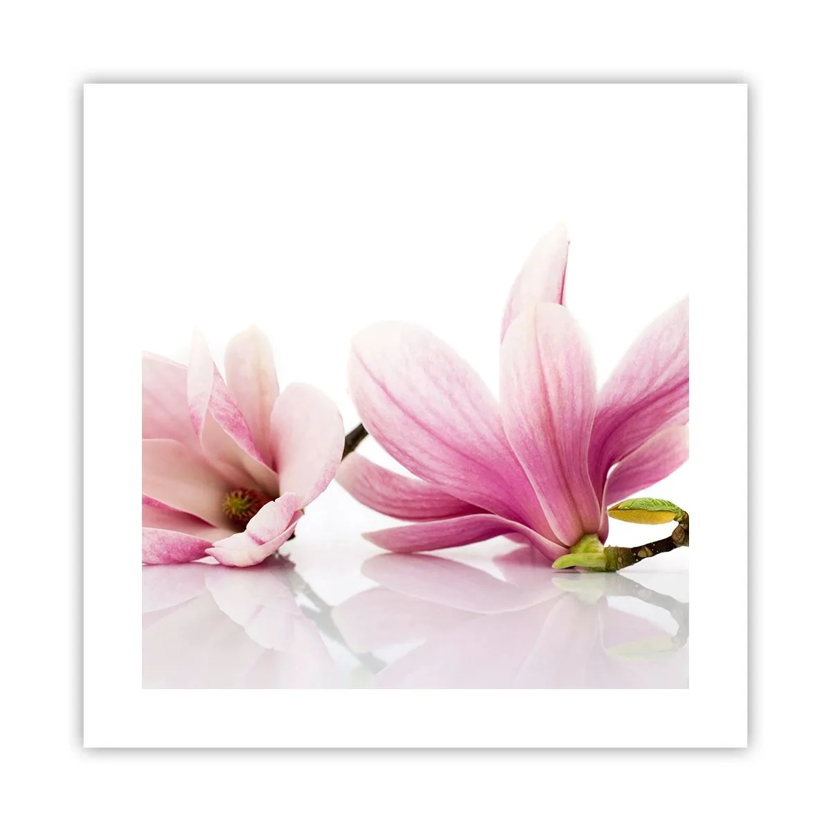Pôster - Suave como um sopro de primavera - 40x40 cm