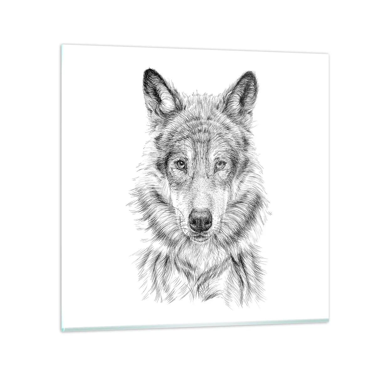 Quadro em vidro - Um líder nato - 40x40 cm