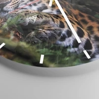 Mostrador com traços