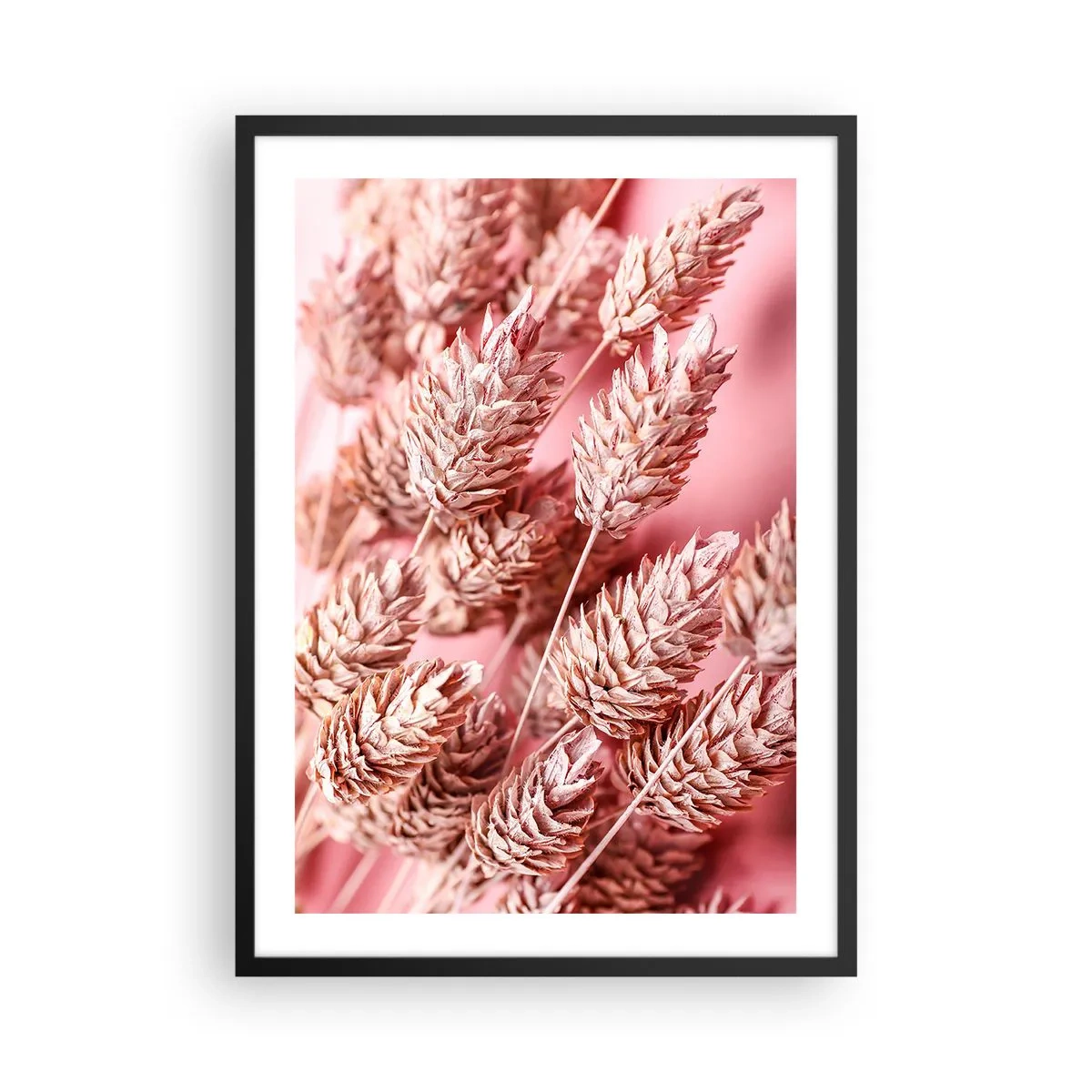 Pôster com moldura preta - Close-up de espigas de grãos secas em um fundo rosa - 50x70cm - Cascata floral em rosa - Decoração de parede moderna para a sala de estar e quarto ARTTOR
