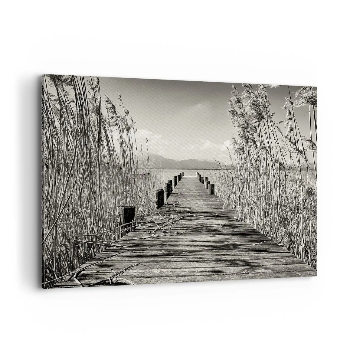 Quadro em tela - No silêncio da relva - 100x70 cm