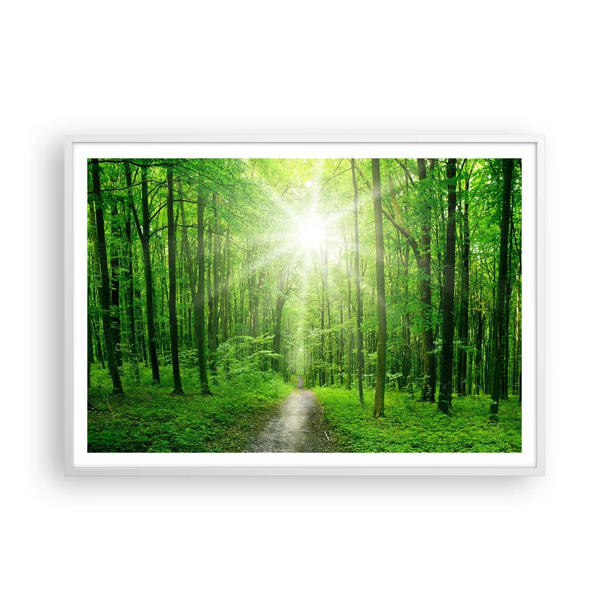 Pôster em moldura branca - Catedral Verde - 100x70 cm